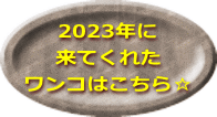 2023N Ăꂽ R͂灙