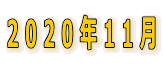 2020N11